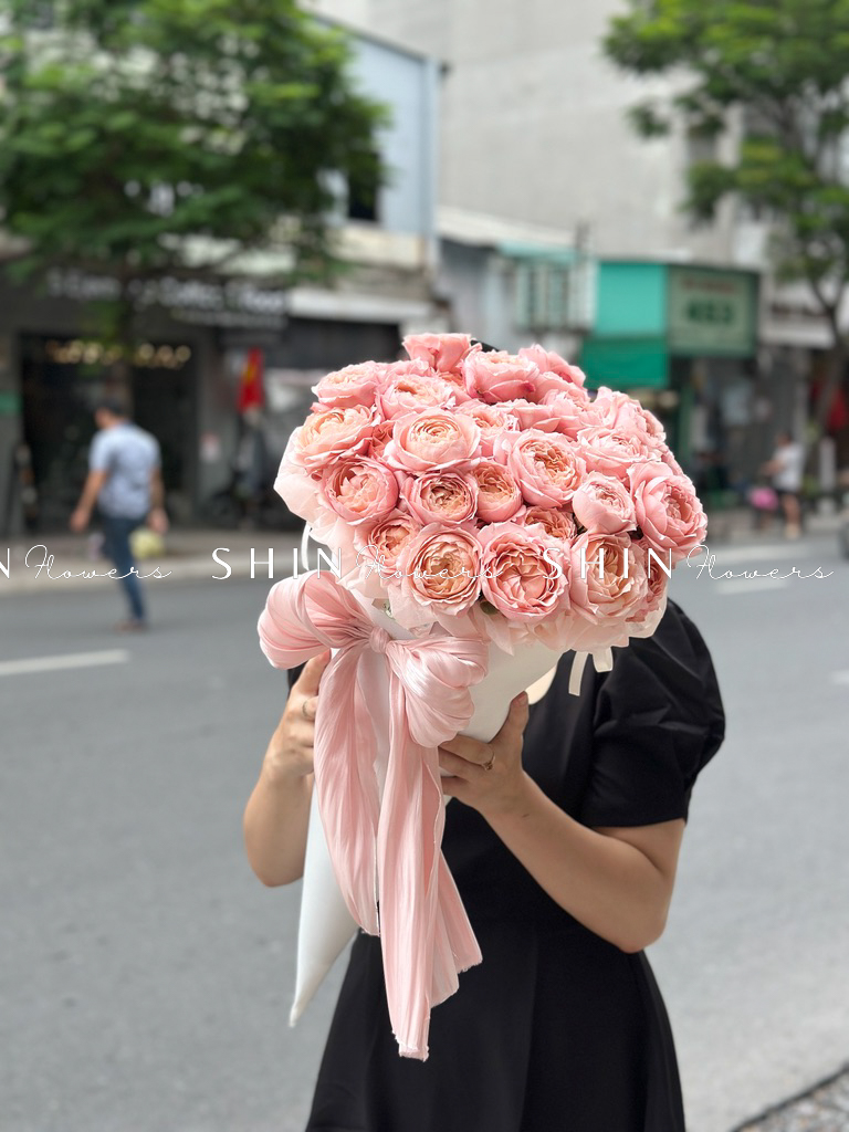 Cây Kem hoa hồng Julieta S510