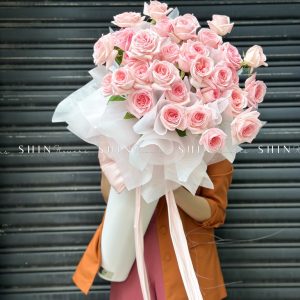 Cây kem hoa hồng ohara S490