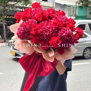 Cây kem Cẩm tú cầu đỏ Hà Lan và hoa hồng đỏ S497