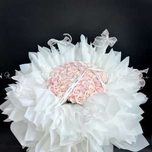 Bó Hoa 66 bông hoa hồng dâu ngọt ngào S527