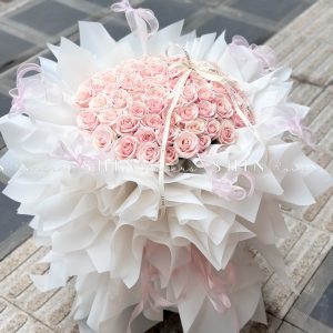 Bó Hoa 66 bông hoa hồng dâu ngọt ngào S527