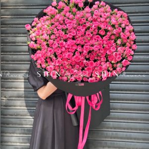 Bó Hoa Hồng Chùm Sophie Siêu To S525