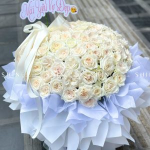 Bó Hoa 100 hoa hồng Ohara Trắng S563