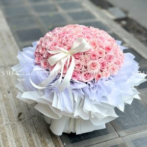Bó Hoa 100 hoa hồng Ohara Hồng S559