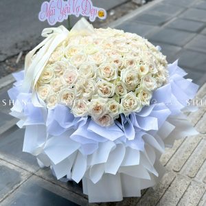 Bó Hoa 100 hoa hồng Ohara Trắng S563
