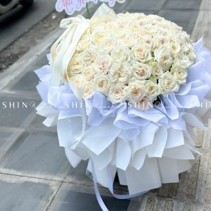 Bó Hoa 100 hoa hồng Ohara Trắng S563