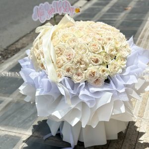 Bó Hoa 100 hoa hồng Ohara Trắng S563
