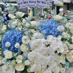 Lẵng Hoa chúc mừng Tone Xanh Sang Trọng H129