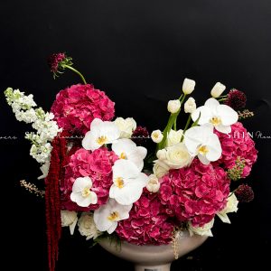 Lẵng Hoa chúc mừng Cẩm tú cầu đỏ và Tulip H131