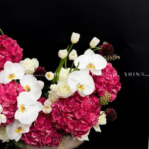 Lẵng Hoa chúc mừng Cẩm tú cầu đỏ và Tulip H131