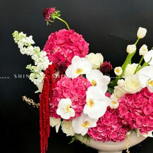 Lẵng Hoa chúc mừng Cẩm tú cầu đỏ và Tulip H131