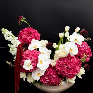 Lẵng Hoa chúc mừng Cẩm tú cầu đỏ và Tulip H131