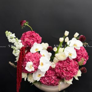 Lẵng Hoa chúc mừng Cẩm tú cầu đỏ và Tulip H131