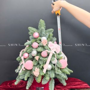 Lẵng thông Nobilis Đan Mạch size 45cm T031