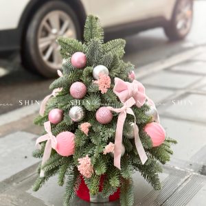 Lẵng thông Nobilis Đan Mạch size 45cm T031