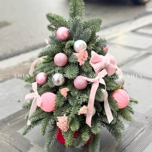 Lẵng thông Nobilis Đan Mạch size 45cm T031