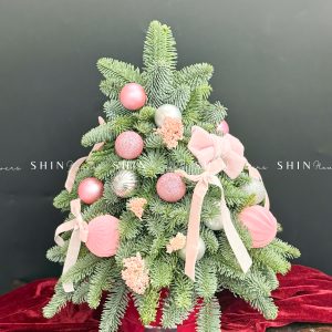 Lẵng thông Nobilis Đan Mạch size 45cm T031