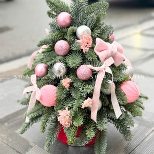 Lẵng thông Nobilis Đan Mạch size 45cm T031