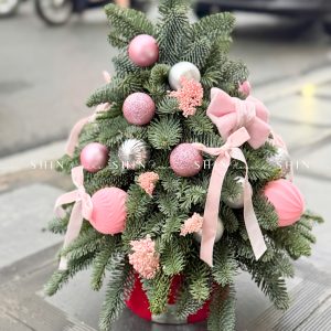 Lẵng thông Nobilis Đan Mạch size 45cm T031