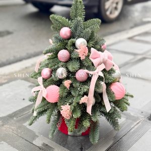 Lẵng thông Nobilis Đan Mạch size 45cm T031
