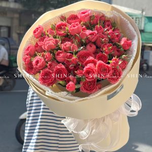 Bó Hoa Hồng Chùm Sophie S570