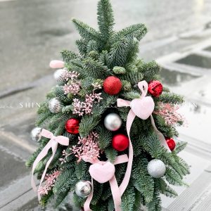 Lẵng thông Nobilis Đan Mạch size 45cm T030