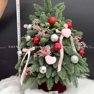 Lẵng thông Nobilis Đan Mạch size 45cm T030