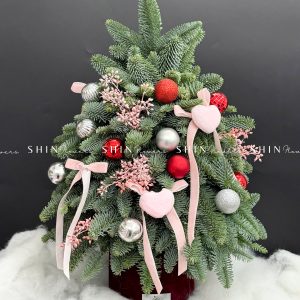 Lẵng thông Nobilis Đan Mạch size 45cm T030