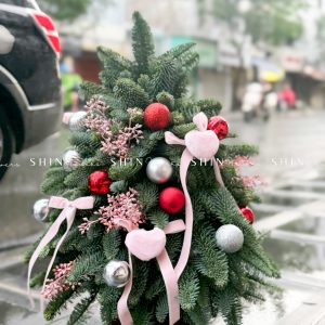 Lẵng thông Nobilis Đan Mạch size 45cm T030