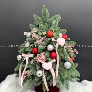 Lẵng thông Nobilis Đan Mạch size 45cm T030