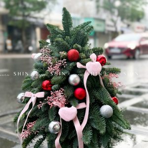 Lẵng thông Nobilis Đan Mạch size 45cm T030