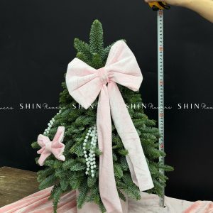 cây thông Nobilis Đan Mạch size 50cm T040