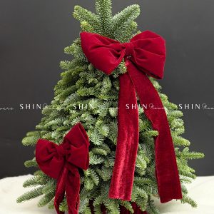 Lẵng thông Nobilis Đan Mạch size 50cm T039
