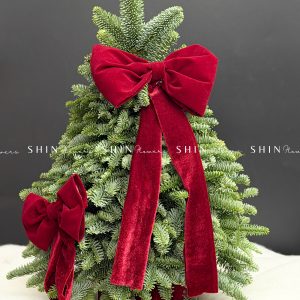 Lẵng thông Nobilis Đan Mạch size 50cm T039