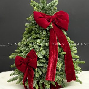 Lẵng thông Nobilis Đan Mạch size 50cm T039