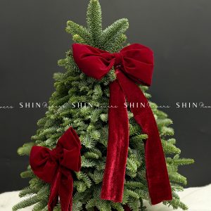 Lẵng thông Nobilis Đan Mạch size 50cm T039