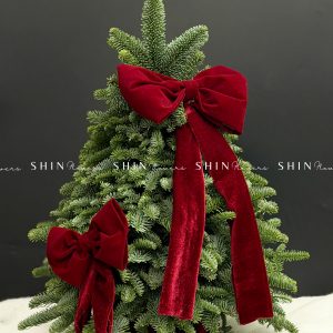 Lẵng thông Nobilis Đan Mạch size 50cm T039