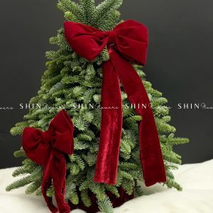 Lẵng thông Nobilis Đan Mạch size 50cm T039