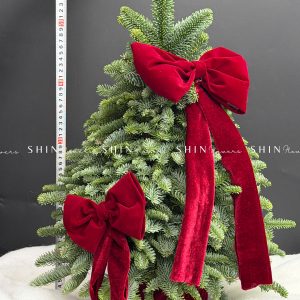 Lẵng thông Nobilis Đan Mạch size 50cm T039