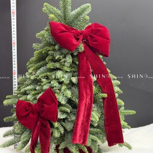 Lẵng thông Nobilis Đan Mạch size 50cm T039
