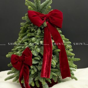 Lẵng thông Nobilis Đan Mạch size 50cm T039