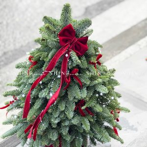 Lẵng thông Nobilis Đan Mạch size 50cm T042