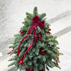 Lẵng thông Nobilis Đan Mạch size 50cm T042