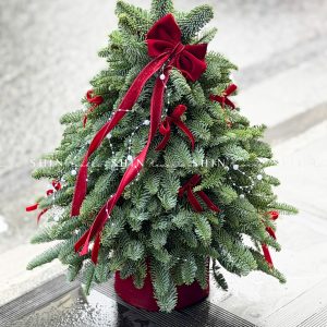 Lẵng thông Nobilis Đan Mạch size 50cm T042