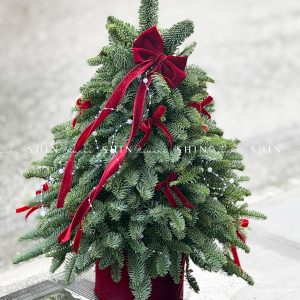 Lẵng thông Nobilis Đan Mạch size 50cm T042