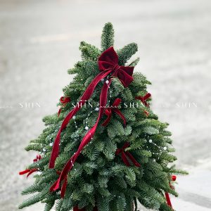Lẵng thông Nobilis Đan Mạch size 50cm T042