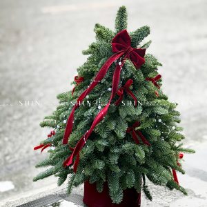 Lẵng thông Nobilis Đan Mạch size 50cm T042