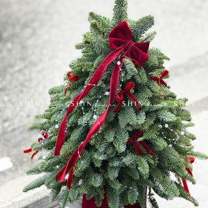 Lẵng thông Nobilis Đan Mạch size 50cm T042