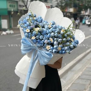 Bó Hoa Hồng tiểu tiên nữ - Plume Xanh Dương Khổng lồ S581