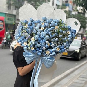 Bó Hoa Hồng tiểu tiên nữ - Plume Xanh Dương Khổng lồ S581